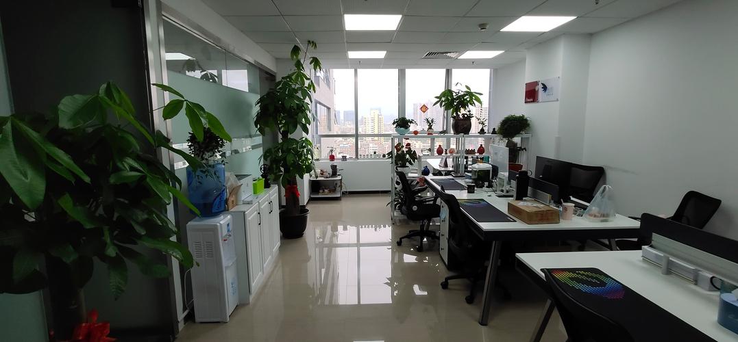 點亮價值服務，賦能韌性成長——教育與企業(yè)咨詢服務的多維實踐